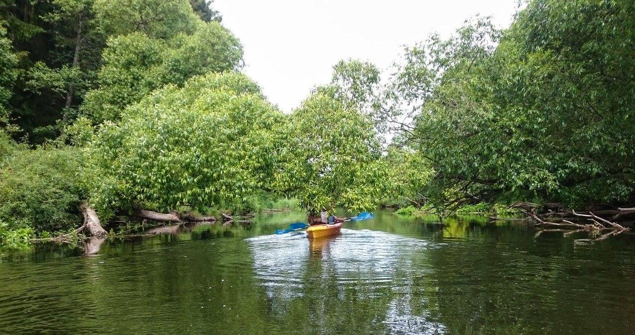 Wikingowie Regi – spływy kajakowe, imprezy integracyjne nad morzem ...